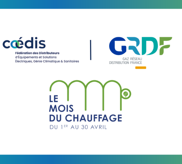 Sans titre (17) Sans titre (17)